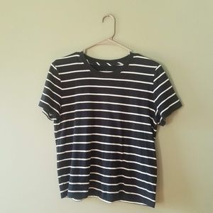 Everlane Striped Tee